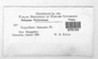 Image Associated With the Occurence